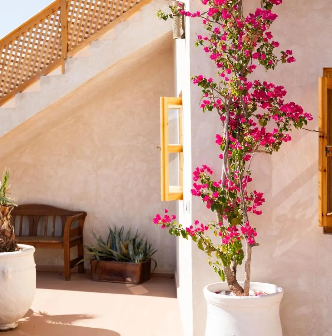 Villa Riad Tamazigh Marrakesh Marokko